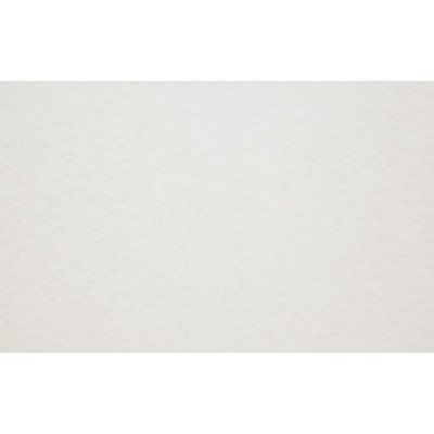 Столешница (ДСП, R1, 3000*600*25мм, мат) 38 Белый перламутр